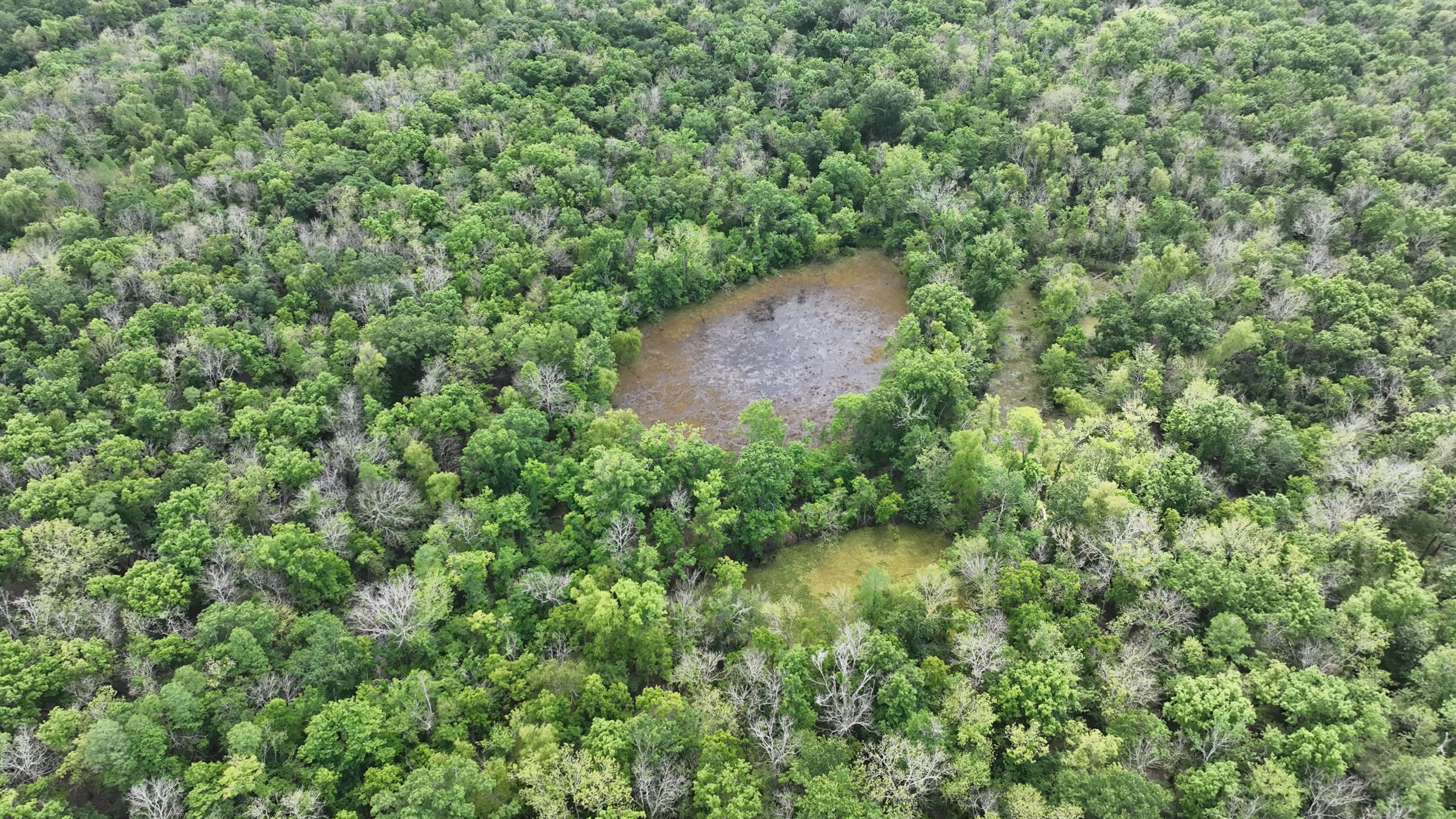 Listing Photo: Iberville Parish Louisiana Duck Hunting Hole